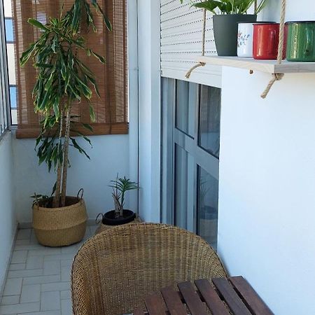 Cedofeita 408, Green Porto Ngoại thất bức ảnh